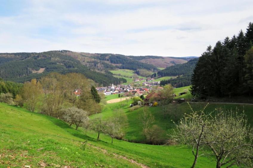 Panoramablick - foto 33