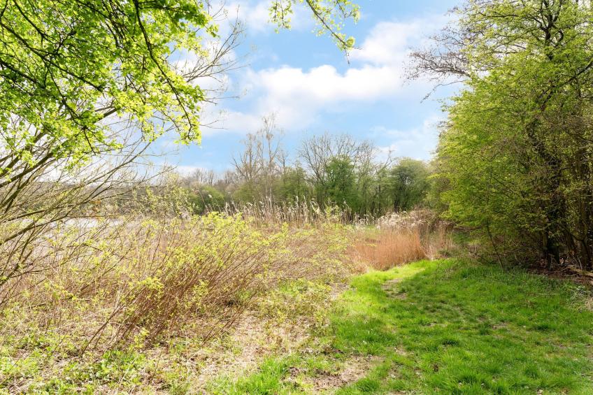 Okken House 3A - foto 25