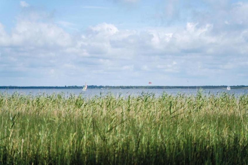 VC02/8 - Villa Castiglioni - foto 38