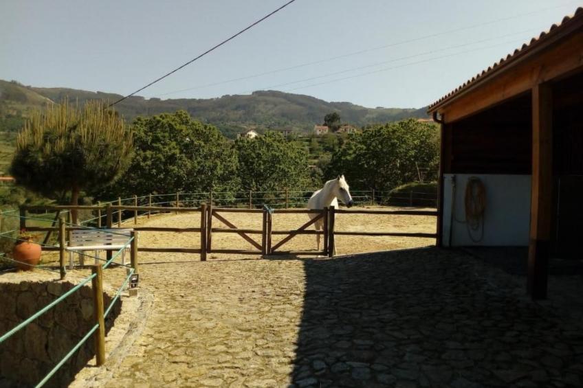 Fabelhafter Pool in einer atemberaubenden Landschaft - foto 48