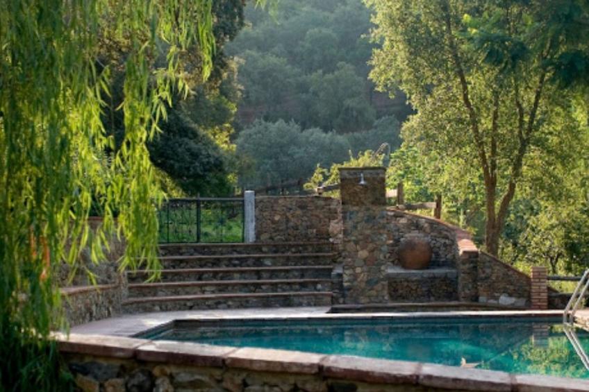 La Cigüeña - foto 13