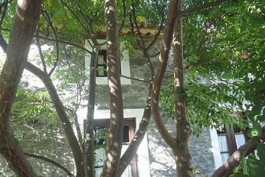 Schönes Ferienhaus in Prazeres - foto 15