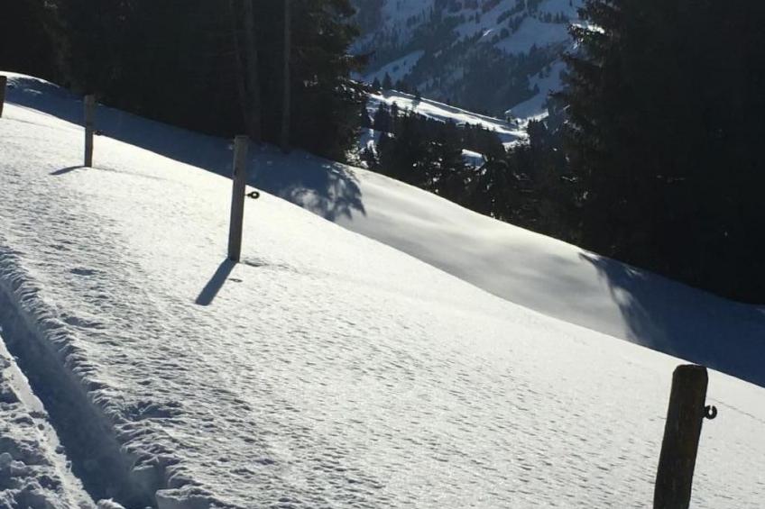 Fewo mit Herz - foto 43