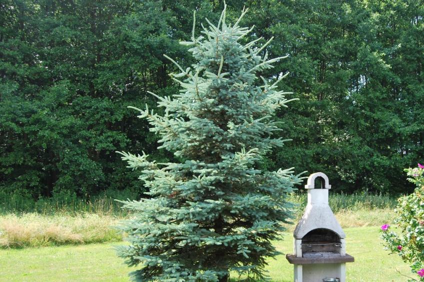 Fewo Stricker 23 - foto 11