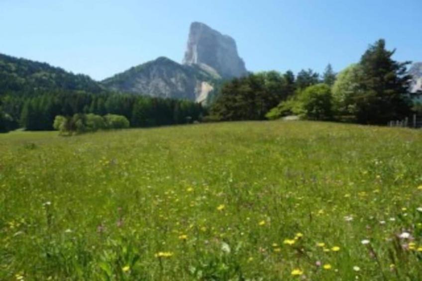 Les Gentianes - foto 25