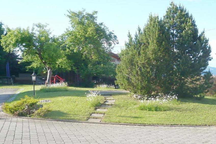 64387 - foto 3