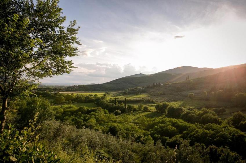 La Casa del Nonno - foto 30