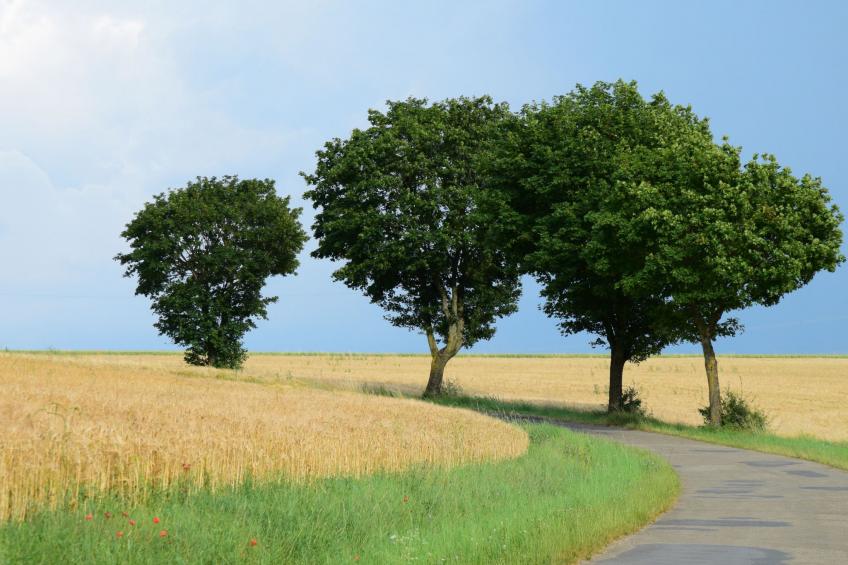 Nassauer Forsthaus - foto 34