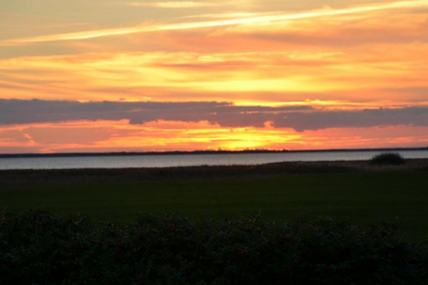 "Aleida" - 100m to the inlet in Western Jutland - foto 3