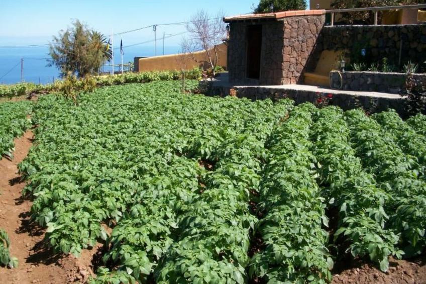 Typisches, renoviertes kanarisches Landhaus - foto 20