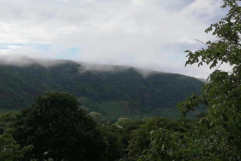 Ferienwohnung mit Moselblick - foto 31