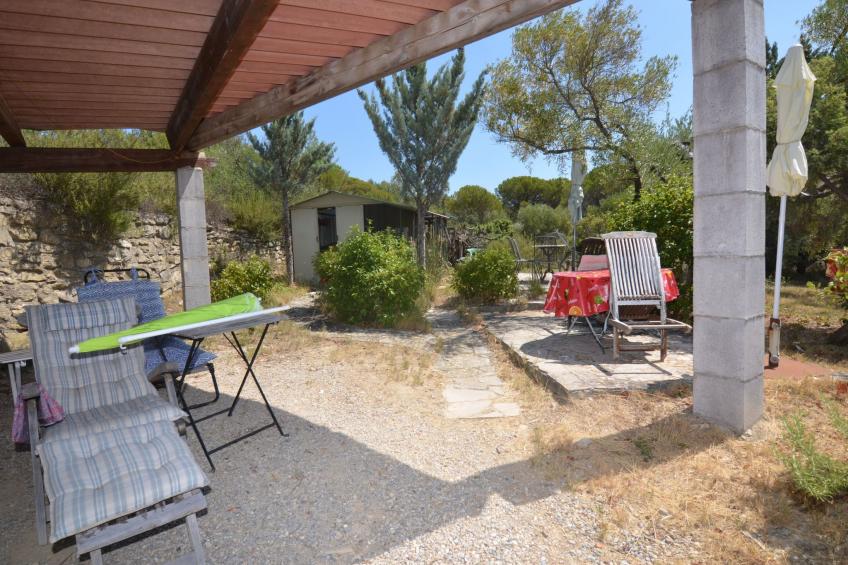 Die kleine Zikade - foto 6