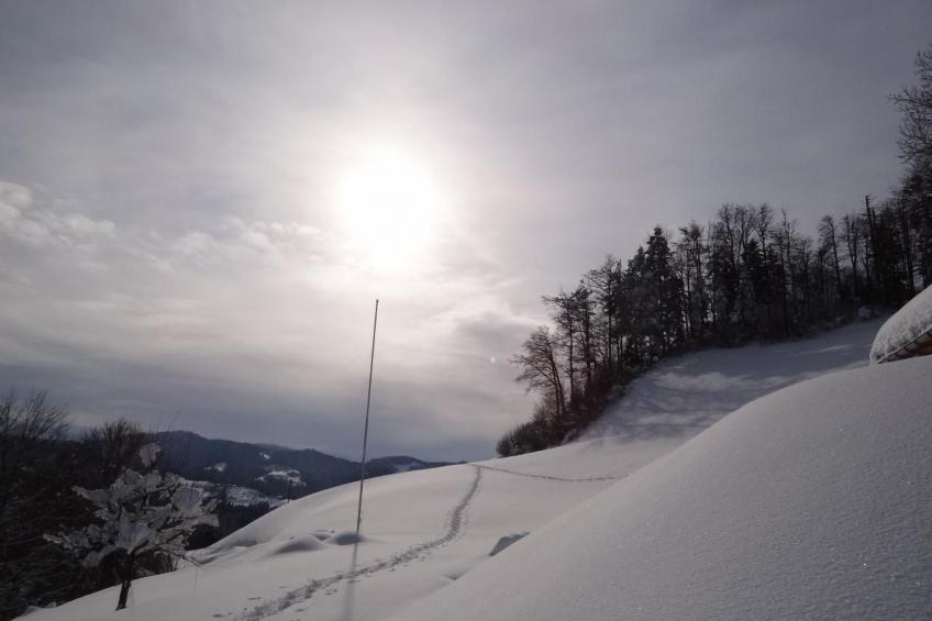 Haus am Sternsberg - foto 33