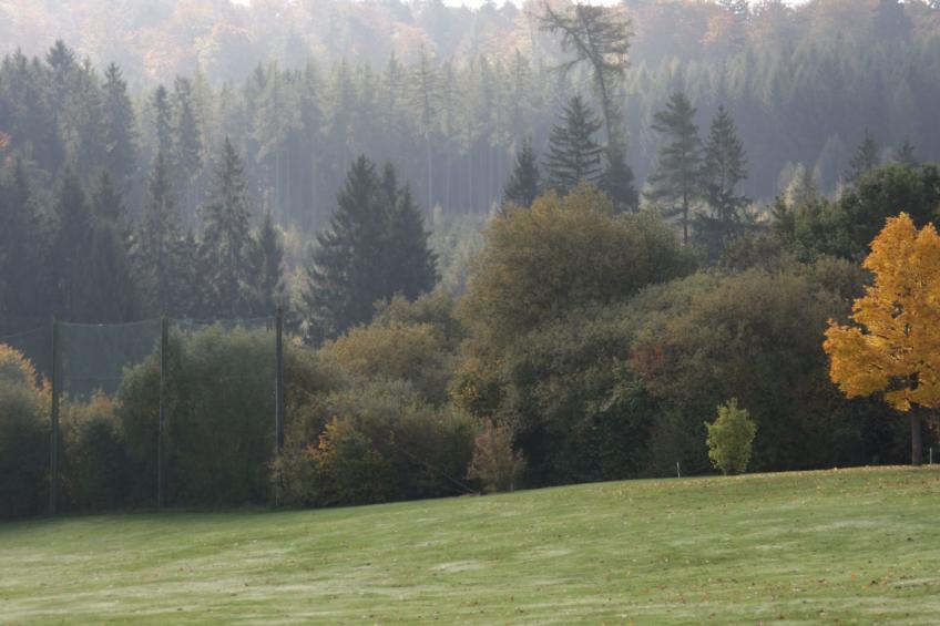 Haus Schmetterfly - foto 31