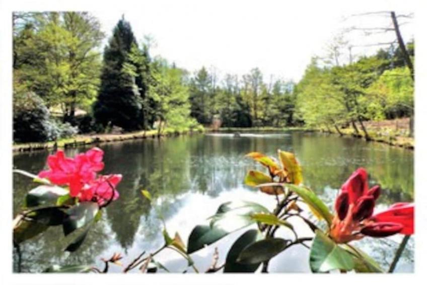 Le Nid du Crâ - foto 35