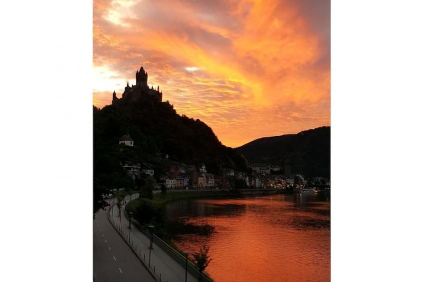 190481 - foto 7