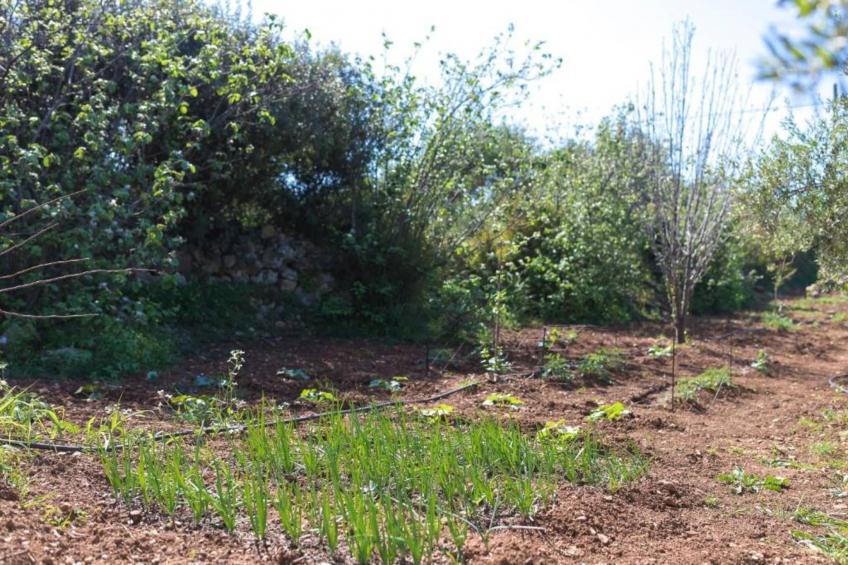Villa Vilana with private pool - foto 37