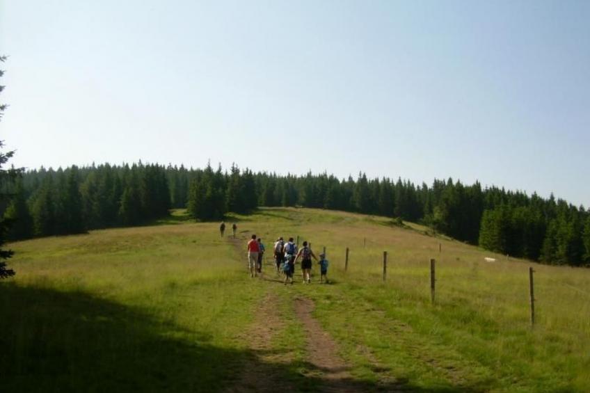 Wohnung Rozika - foto 11