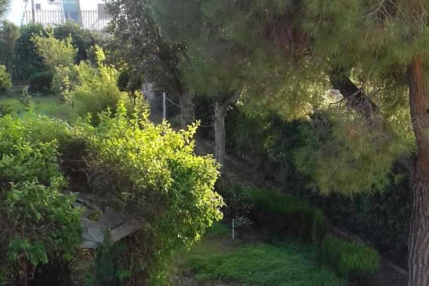 Villa Alma Wohnung in Villa - foto 23