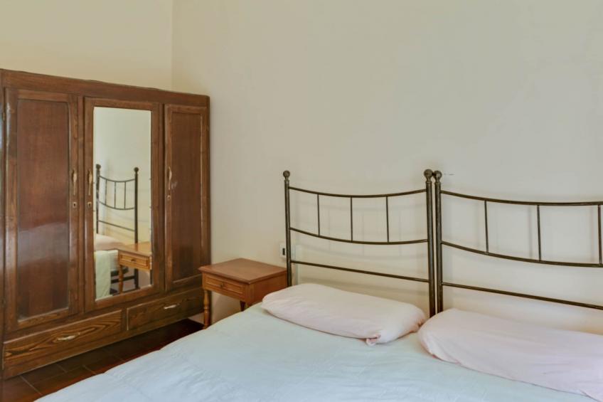 Rododendro - foto 17