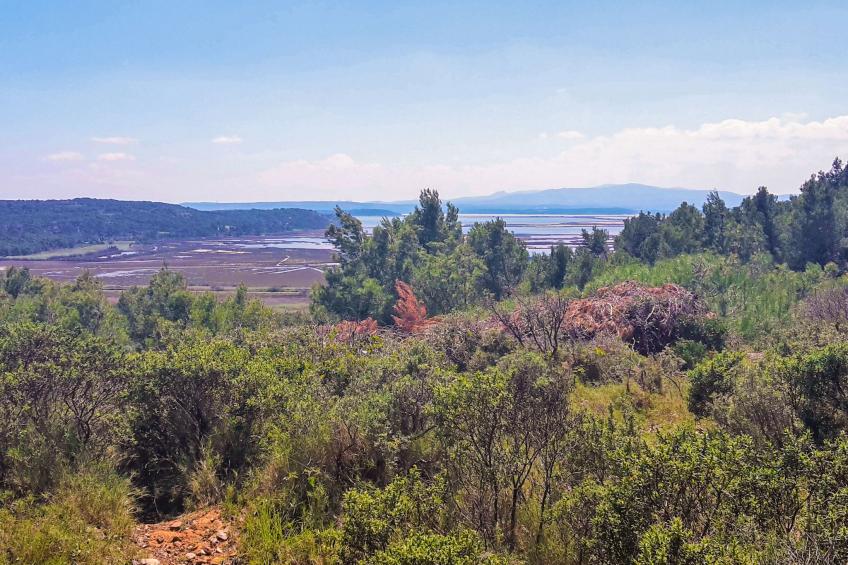 Maison des Lauriers - foto 29