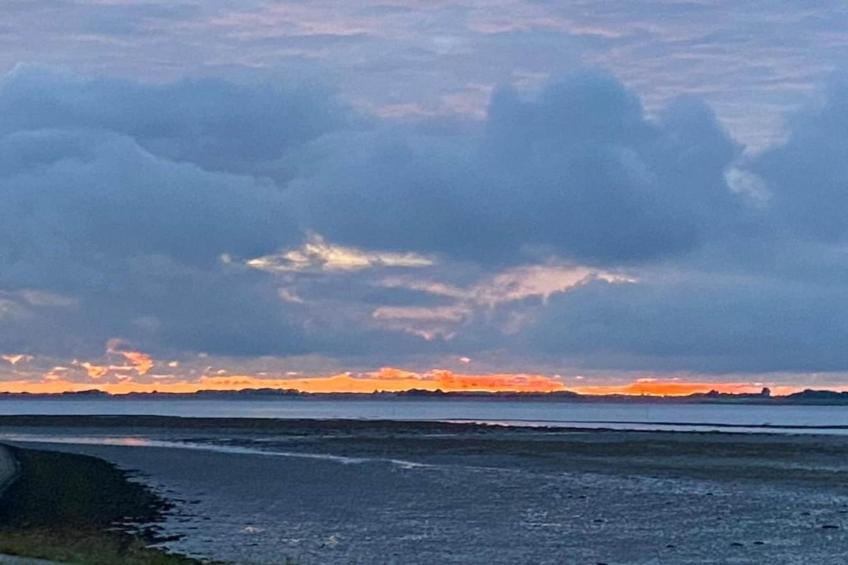 De Meerkoet - foto 33