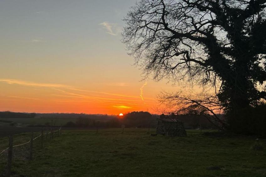 Bulrush Bell Tent - foto 18
