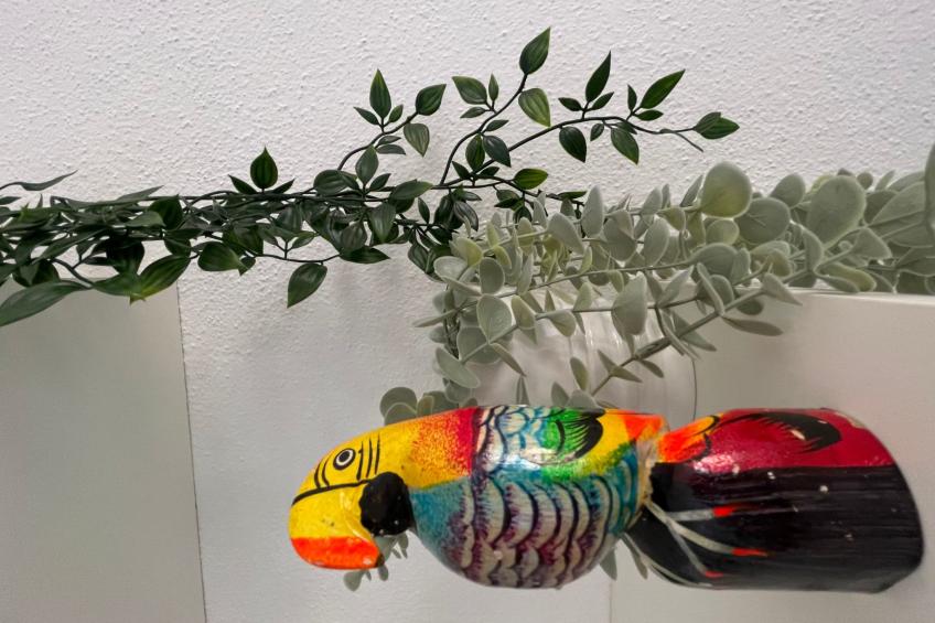 Wohnung "Alter Olivenbaum" mit Garten - foto 30