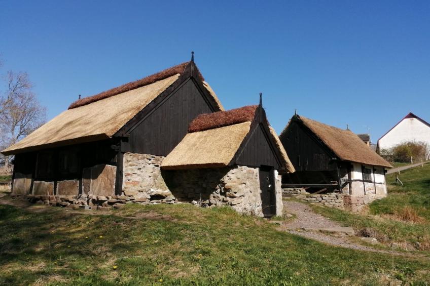 "Raica" - 300m from the sea in Bornholm - foto 19
