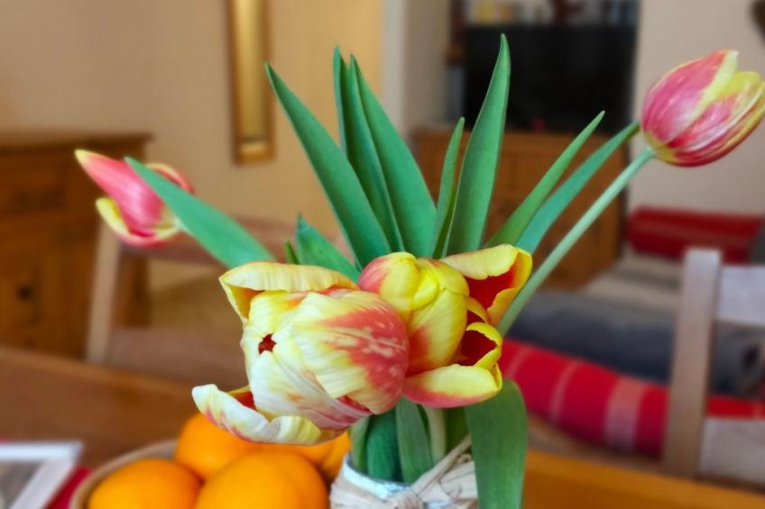 Einzimmerwohnung Die Katze in Gignod - foto 4