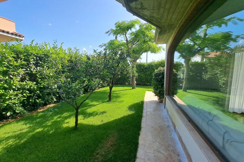 "Daphne Experience". - foto 9