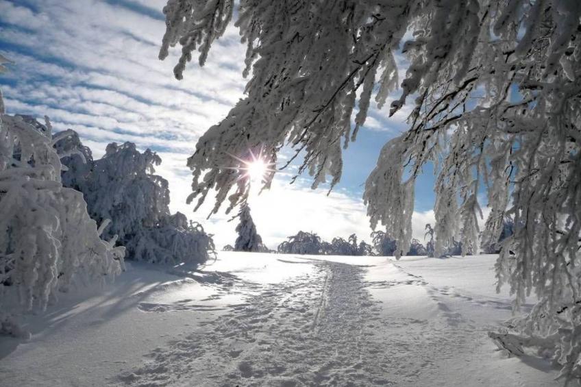 Domäne "Leons Garage" - foto 28