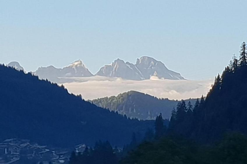 Chalet Montjoie - foto 39