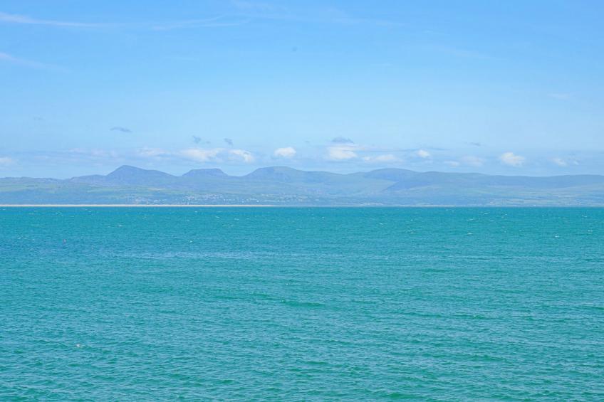 Forest Lodge - foto 3