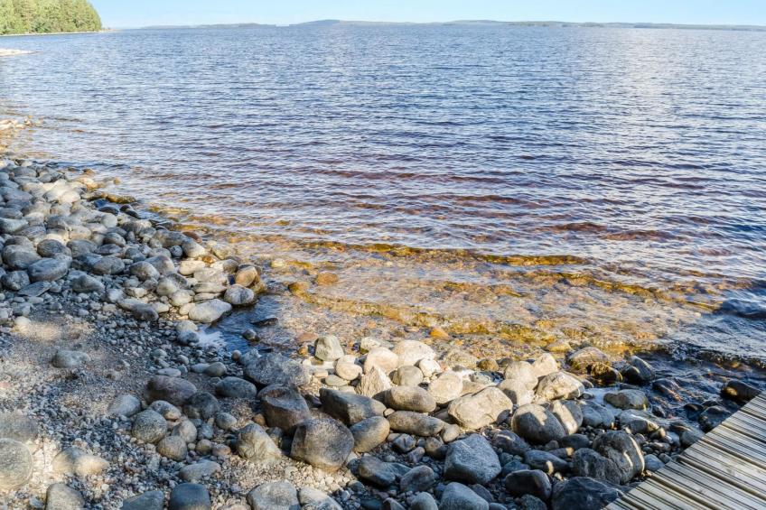 Koli, honkakoli 3 - foto 22