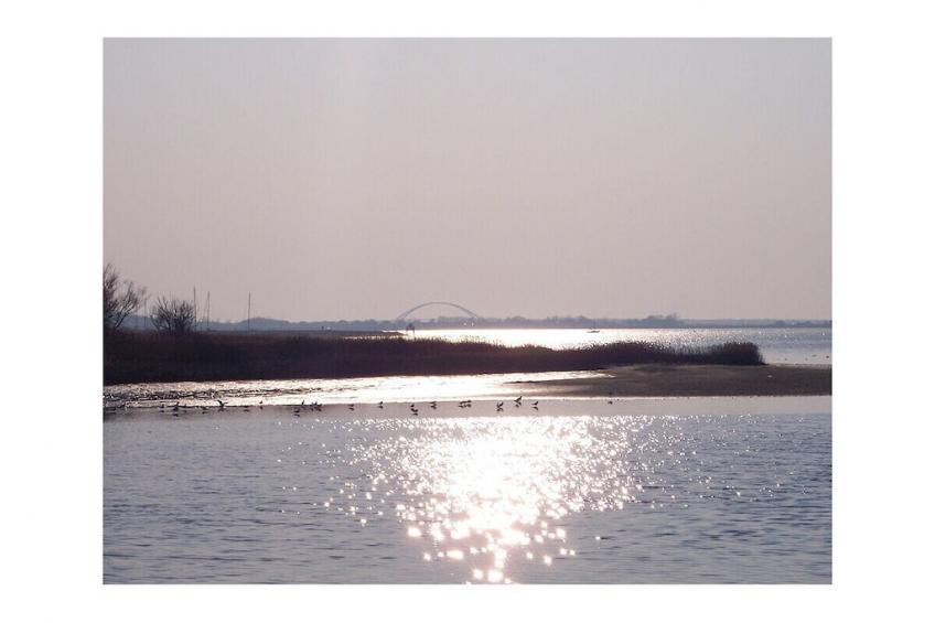 276965 - foto 17