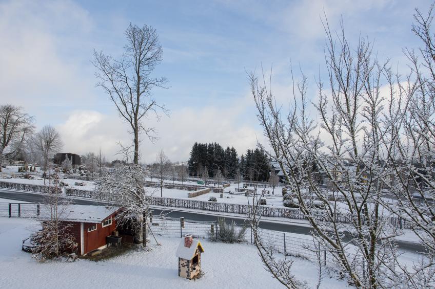 Am Südhang 27 Winterberg | Cozy holiday home near center & ski area - foto 12