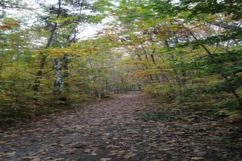 Maison de vacances - CHILLEURS-AUX-BOIS - foto 32