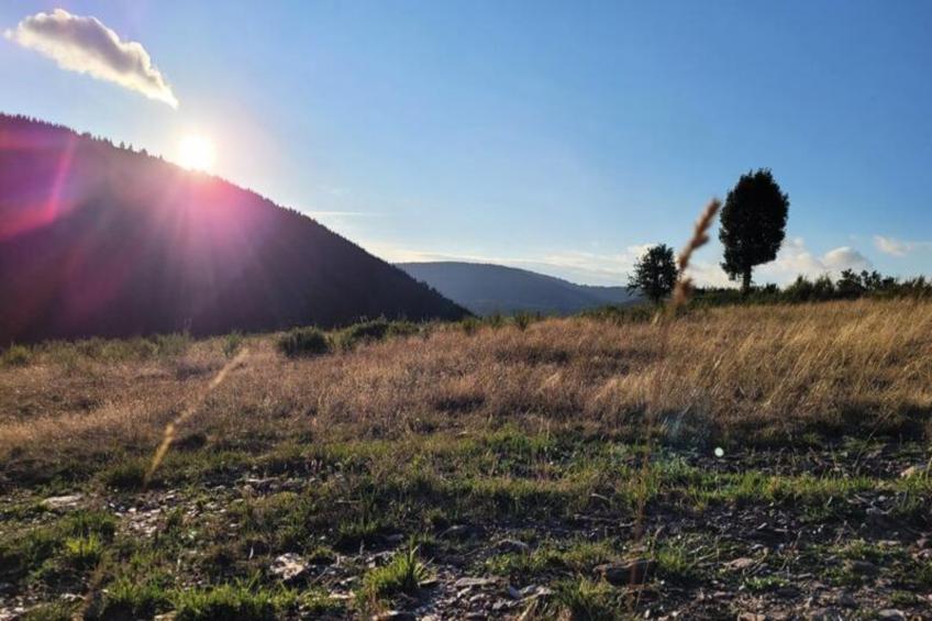 Gîte La cabane d'antoine - foto 21