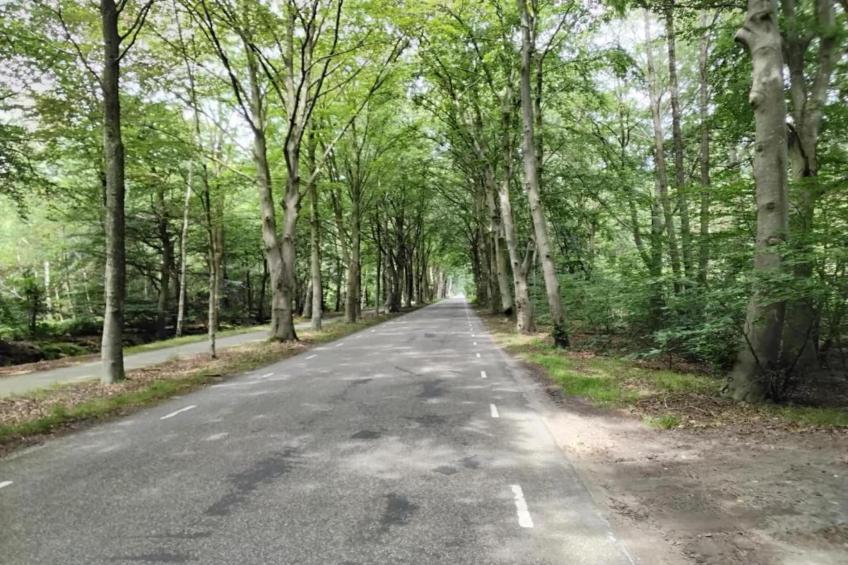 Landgoed Eysinga State - foto 27