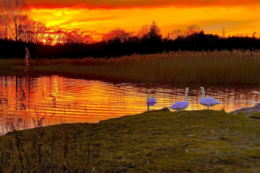 Apartment Naturpark - foto 3