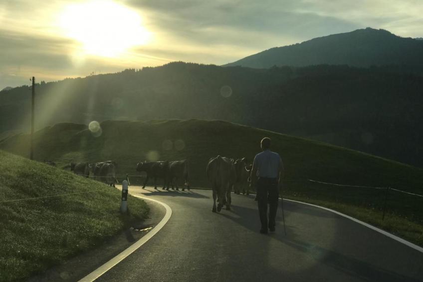 im Dorf Urnäsch - foto 35