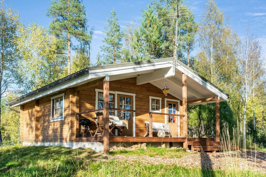 Niemenkärki, vaikon loma ja lohi - foto 2