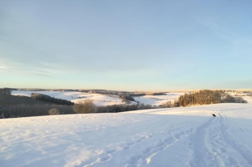 Eifelleben in Hillesheim - foto 28