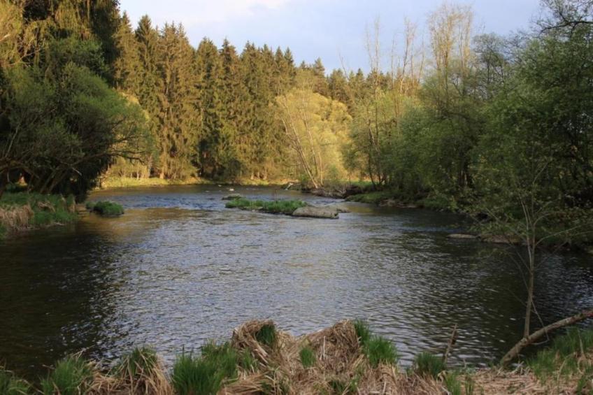 Waldferien - foto 33