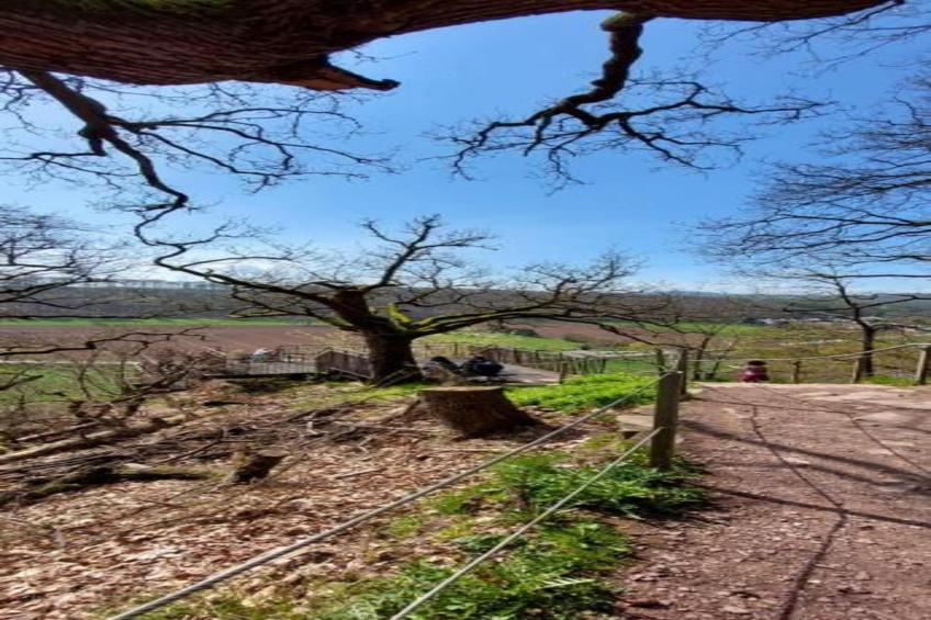 Am Ferienhof - foto 13