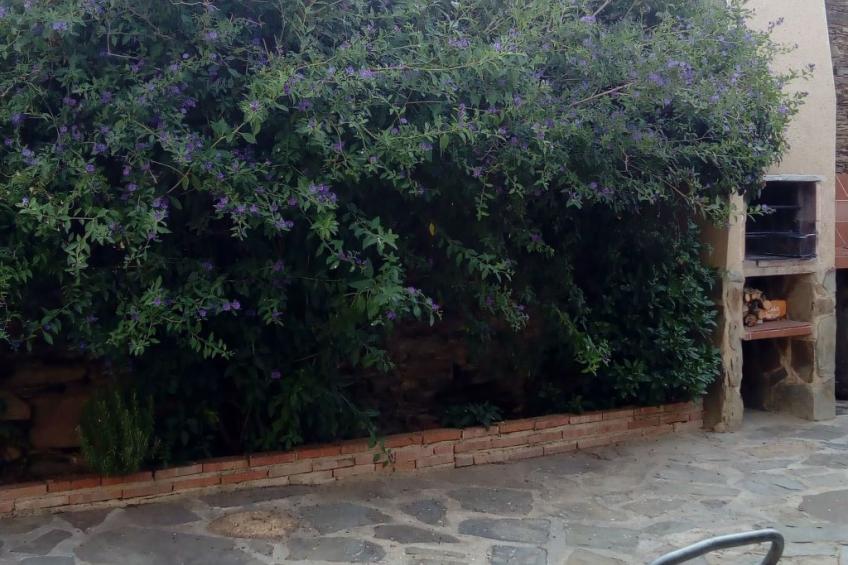 Villa Vieja Landhaus - foto 17