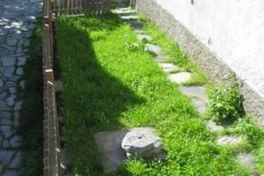 Casa Paola in Bosco Gurin - foto 11