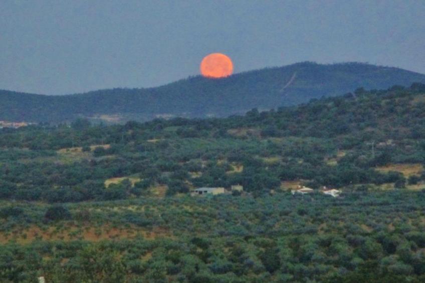 Das Cortijo auf der Finca al-manzil - foto 35