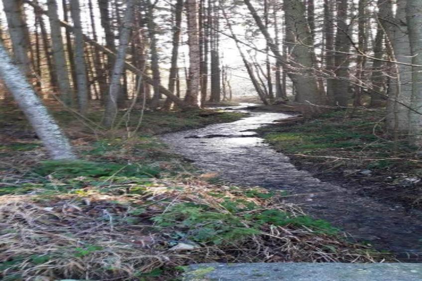 Le Paradis et Espace - foto 36